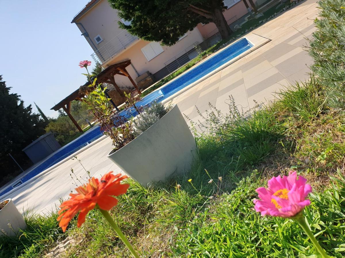 Olive Apartments Ugljan Exterior foto
